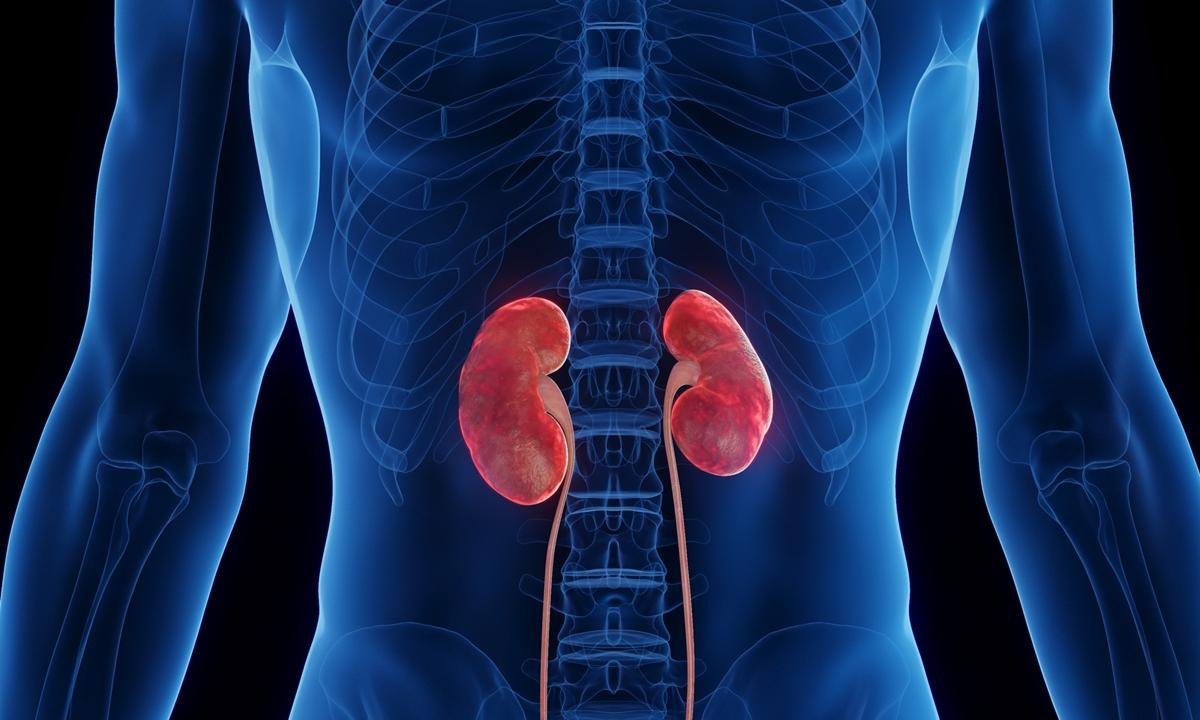 Nefrologista revela como beber água corretamente e beneficiar os rins