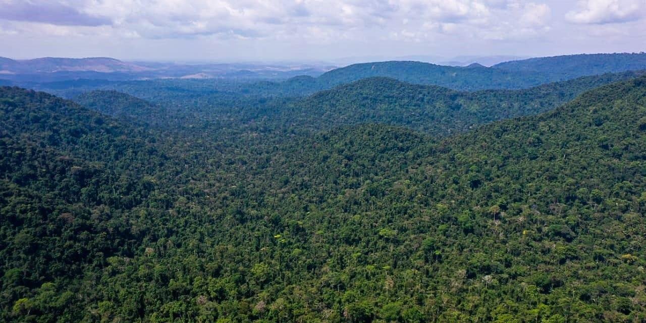 Entenda o marco temporal das terras indígenas, aprovado pelo Senado