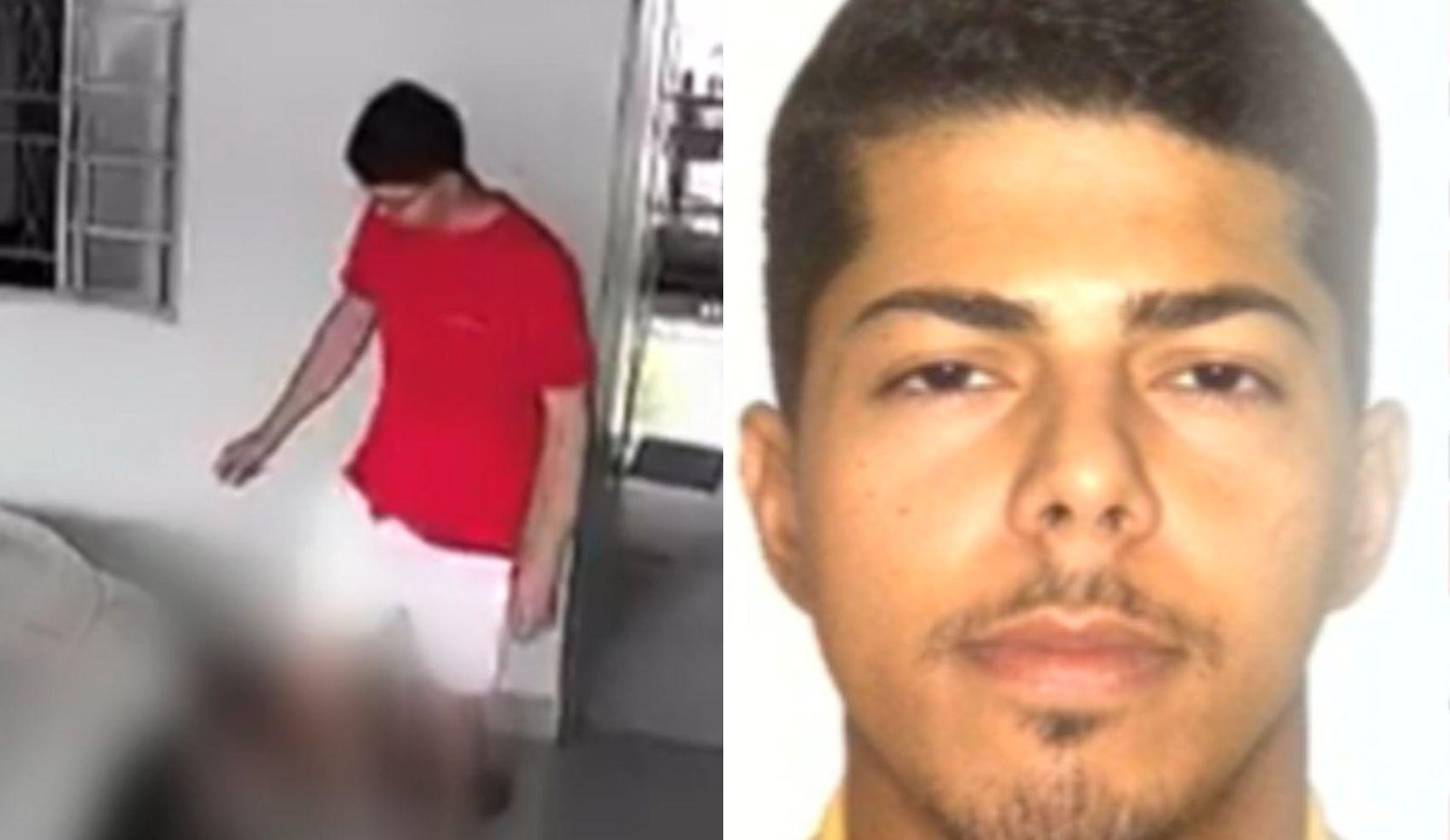 Homem espanca e tortura cachorro da ex; vídeo | G1