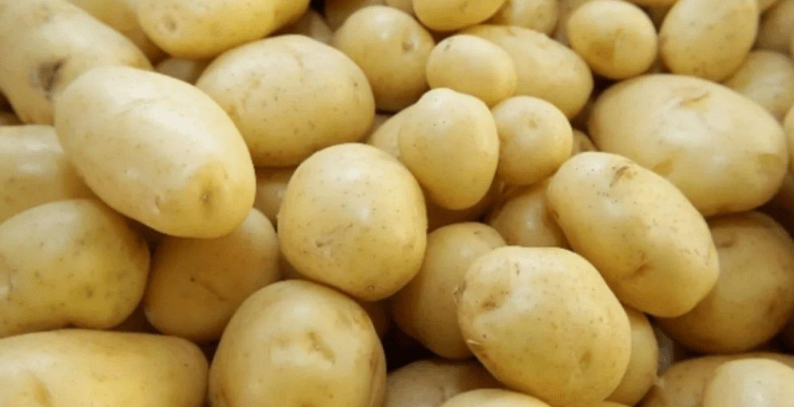 Preço da batata sobe no atacado após chuvas reduzirem a oferta