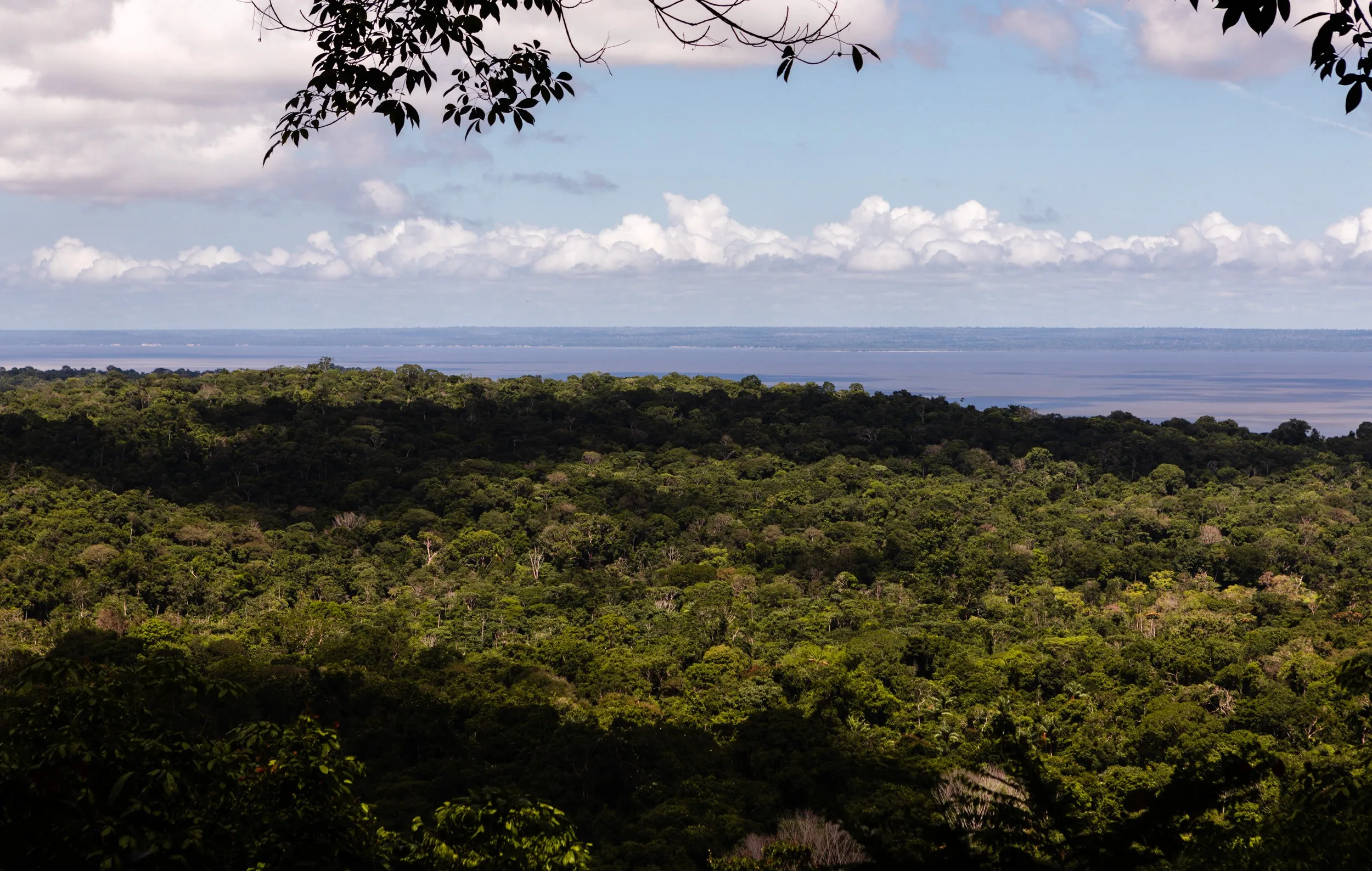 Reino Unido anuncia investimento em fundo criado pelo Brasil para proteção de florestas tropicais