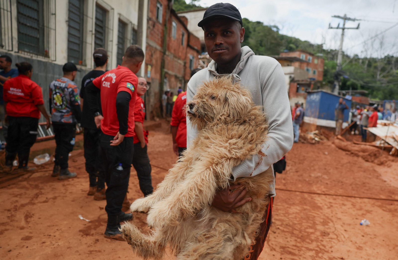 Mais de 30 animais são resgatados em Juiz de Fora e região | G1