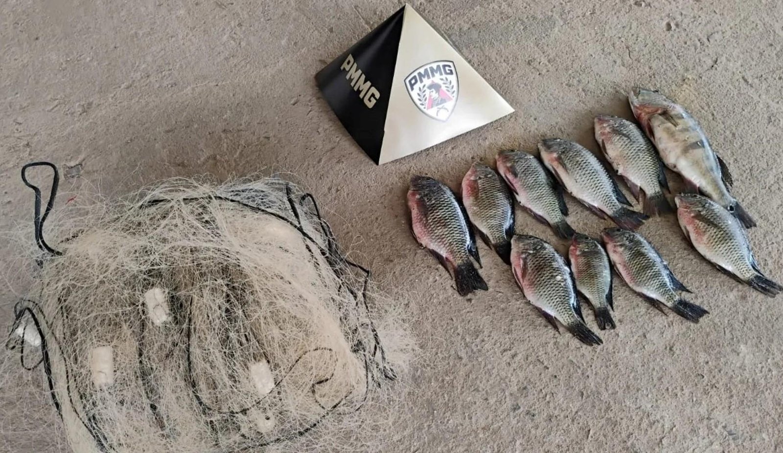 Três são presos por pesca ilegal no Lago de Furnas no último dia da piracema em MG | G1