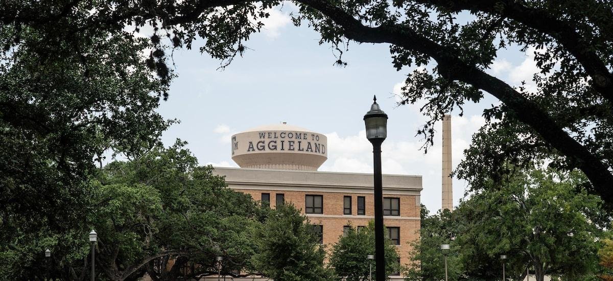 Universidade do Texas manda professor não ensinar trechos de Platão por ‘ideologia de gênero’