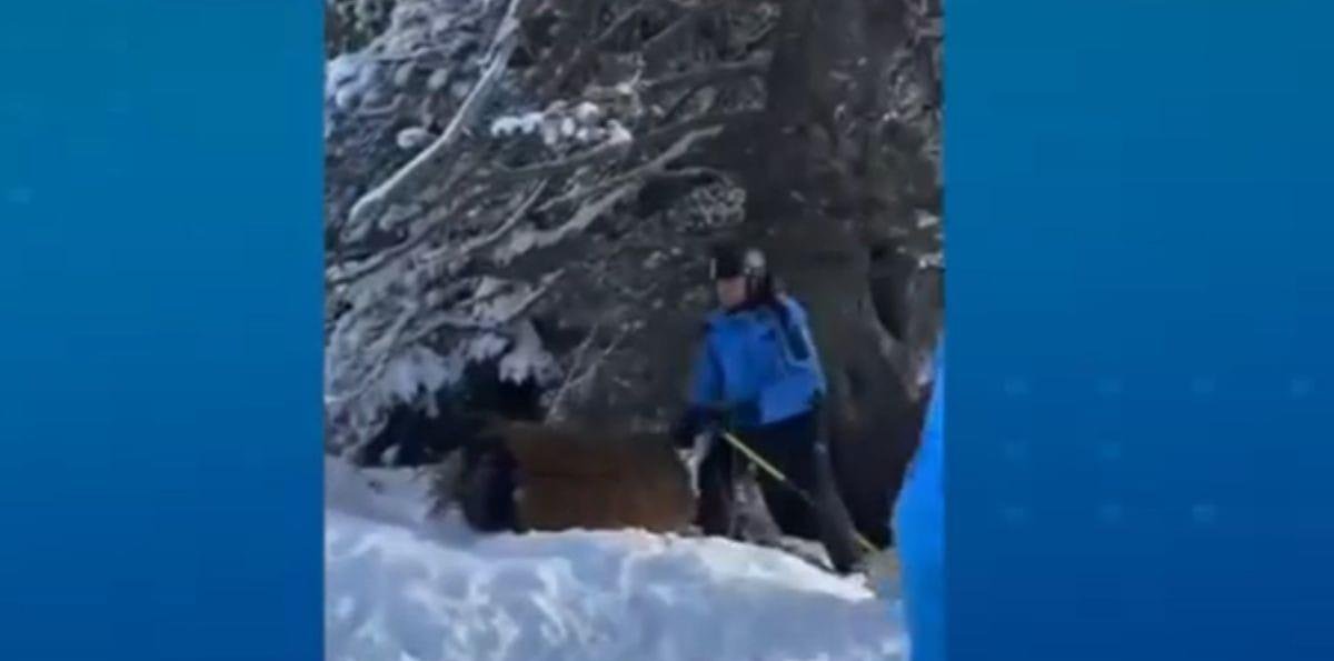 Brasileiro fantasiado de Chewbacca é espancado nos Alpes franceses