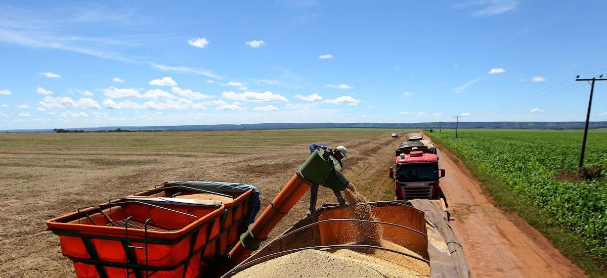 Recuperações judiciais seguirão rondando o agro