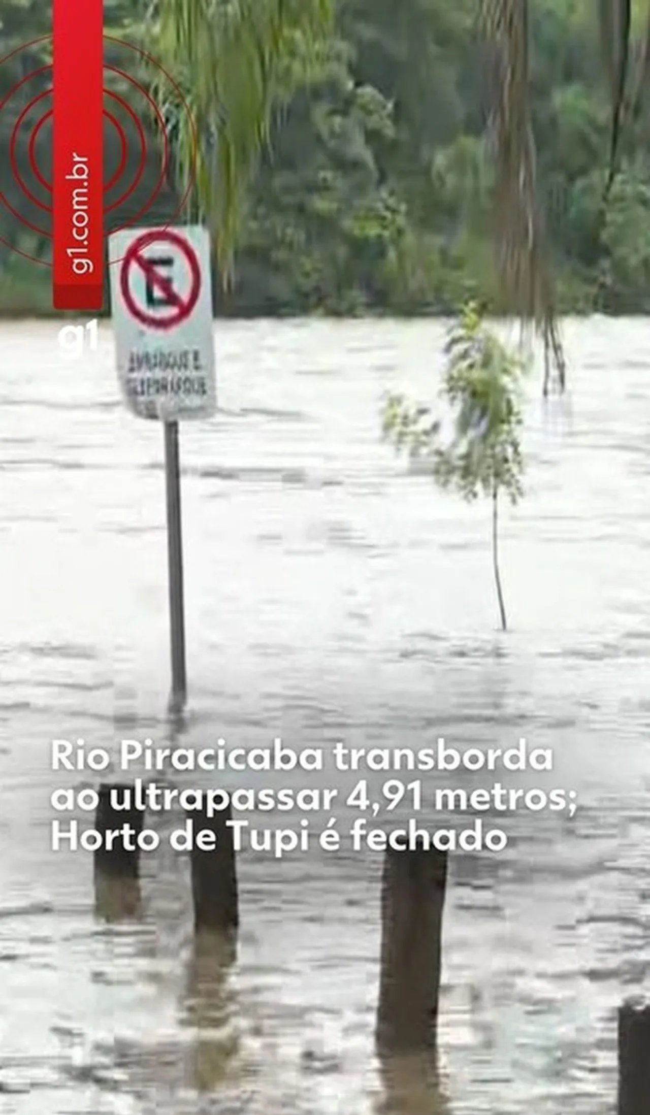 Rio Piracicaba transborda: nível chega a 4,91m e causa alagamentos | G1