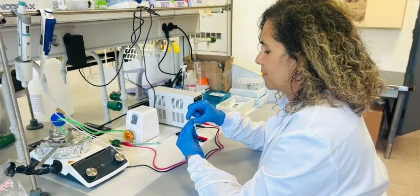 Novo método barateia produção de peça-chave para hidrogênio verde
