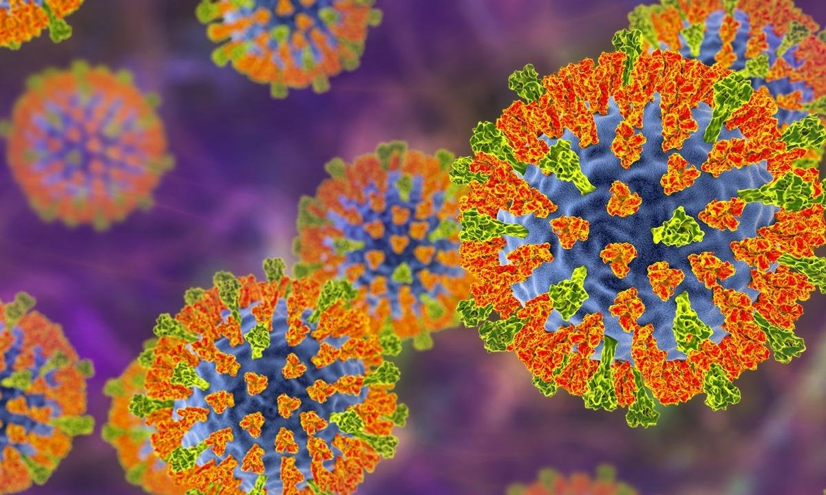 Nipah, gripe K, aviária: as doenças no radar dos infectologistas