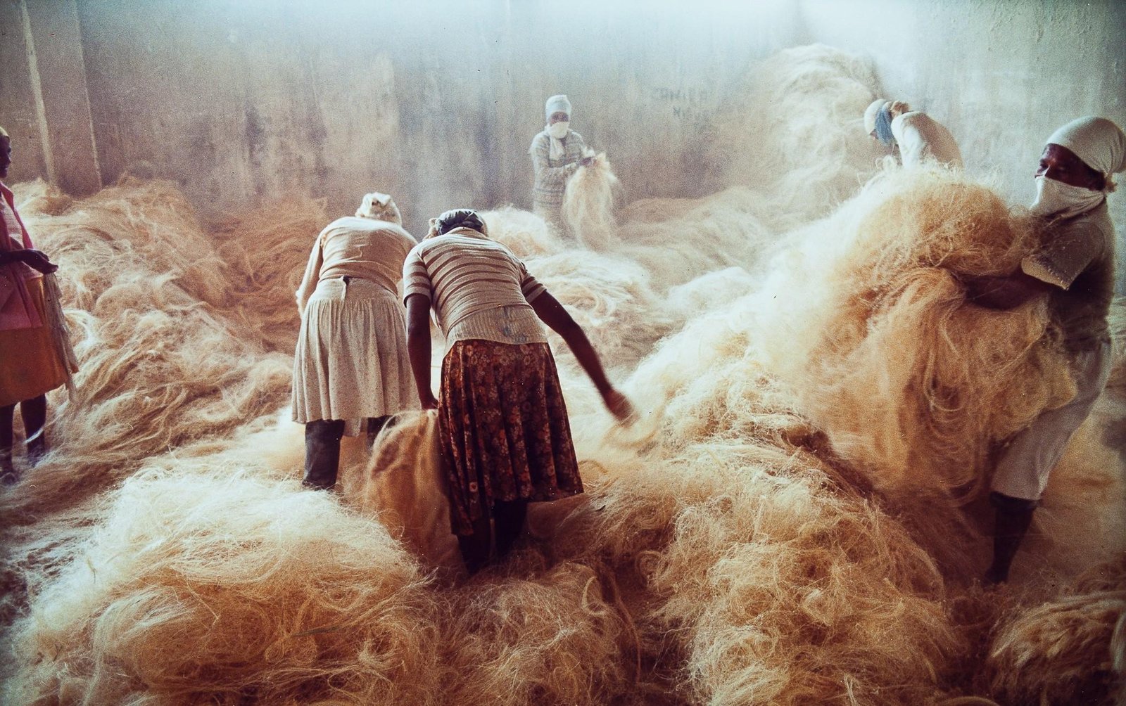 Salvador recebe exposição feita para a cúpula do G20 que conta a história da arte brasileira | G1
