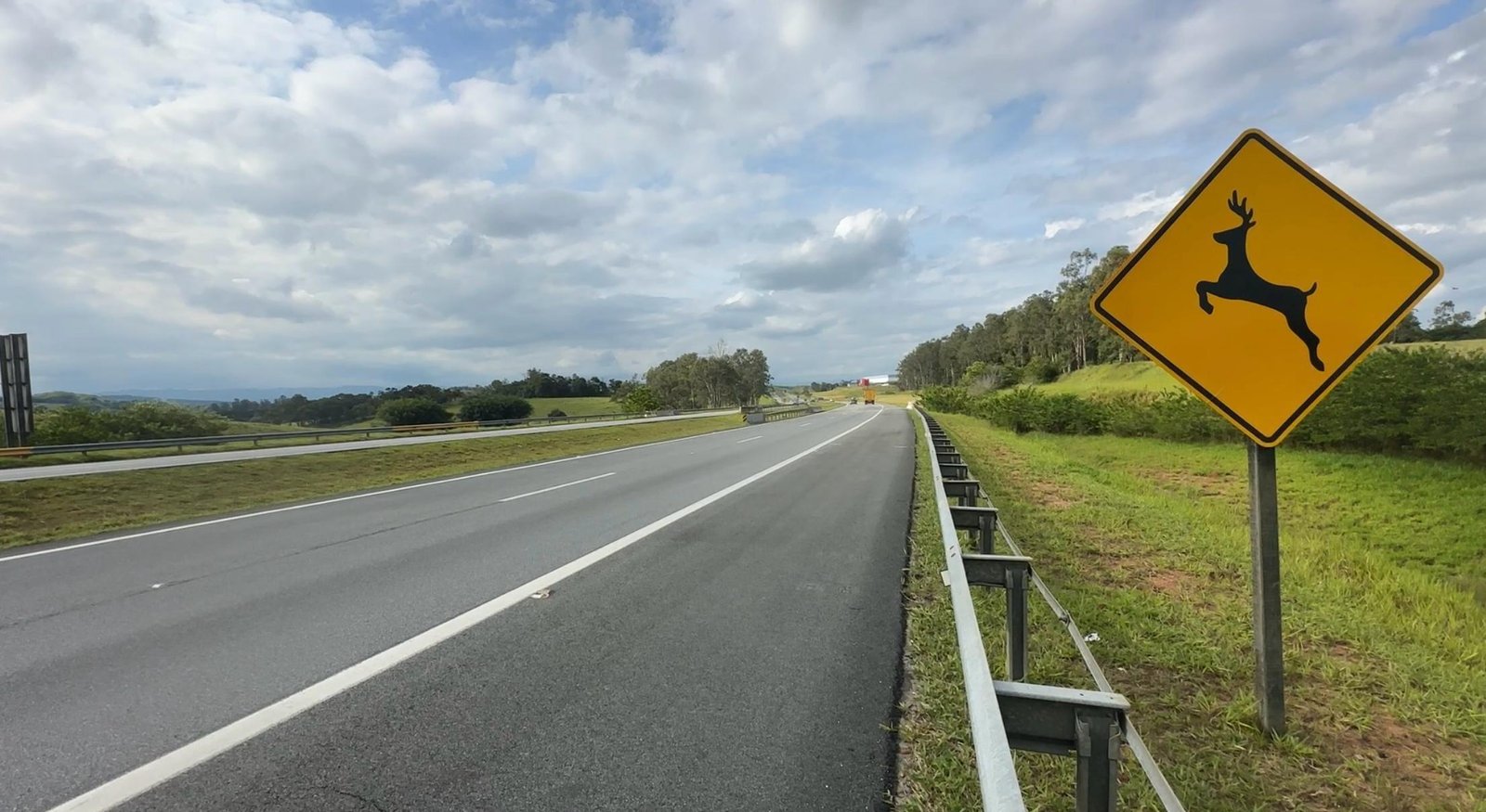 Trabalhador morre atropelado por caminhão durante obra em São José | G1