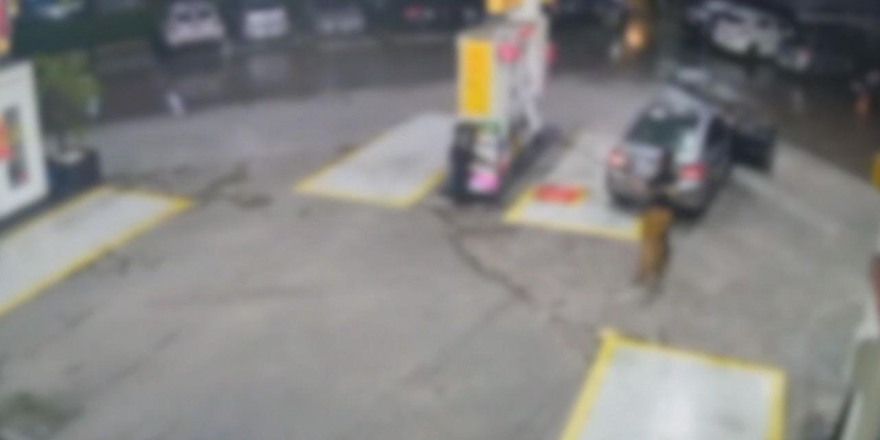 Sequestro termina em compra de R$350 em adega de Mogi das Cruzes | G1