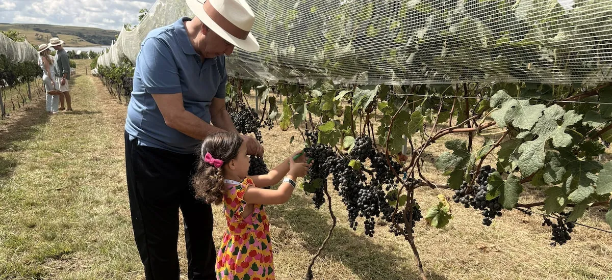 Entre vinhedos da Serra Gaúcha, hospedagem combina charme, experiência e vinho