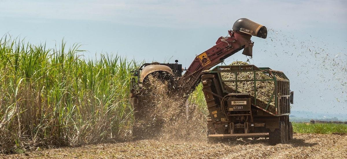 Mercosul-UE: Café e frutas terão tarifa zero; para carnes e açúcar haverá cotas e tarifas reduzidas