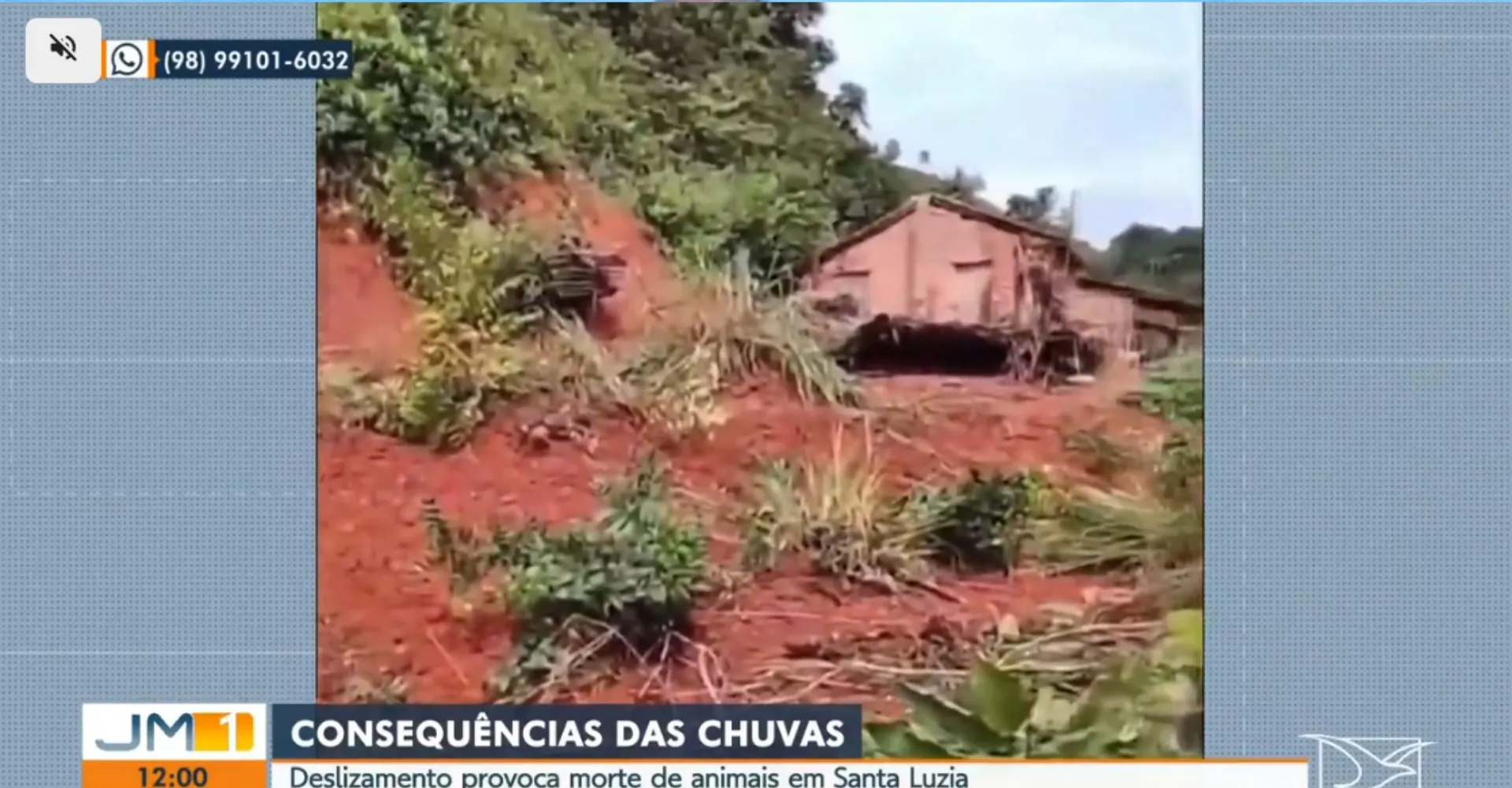 Deslizamento de terra destrói comércio e mata 20 animais no MA | G1