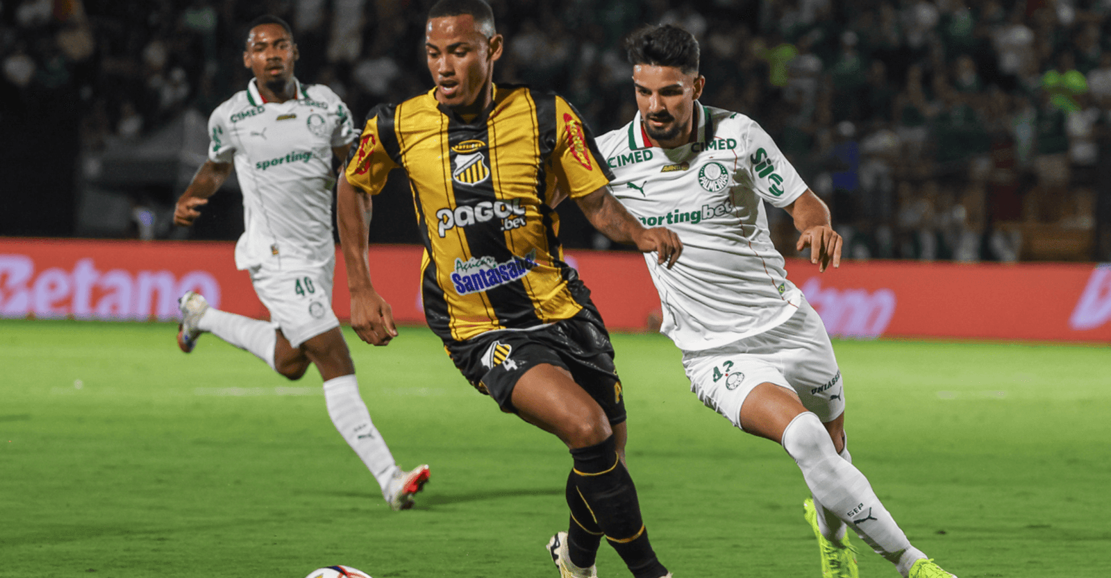 Palmeiras inicia decisão do Paulistão em busca do 27º título