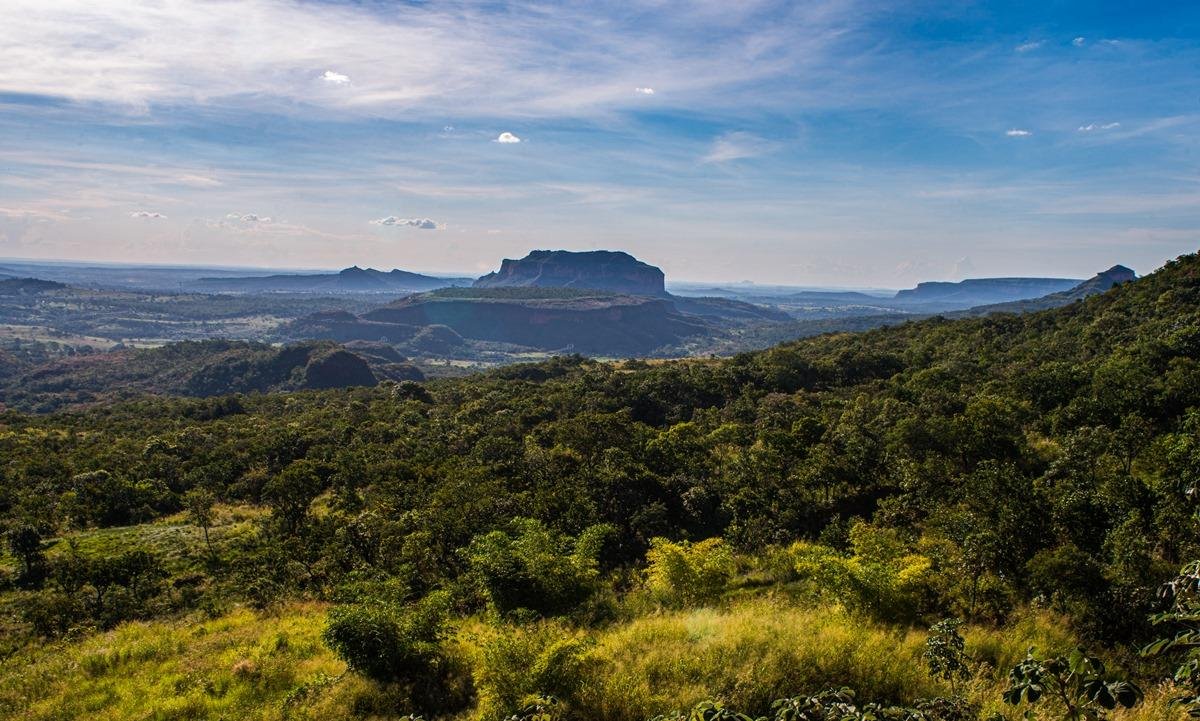 Mais da metade da vegetação nativa do Cerrado já foi perdida
