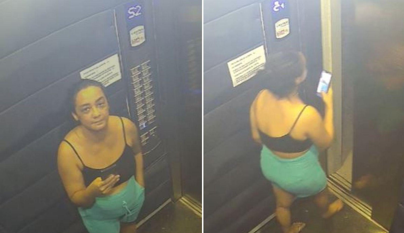 Corpo de corretora foi abandonado em mata a cerca 15 km de Caldas Nova | G1