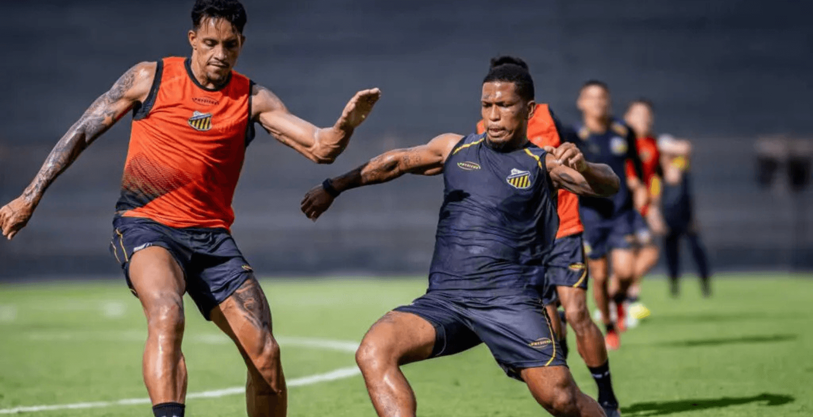 Novorizontino se prepara para pegar o Santos na estreia do Paulistão