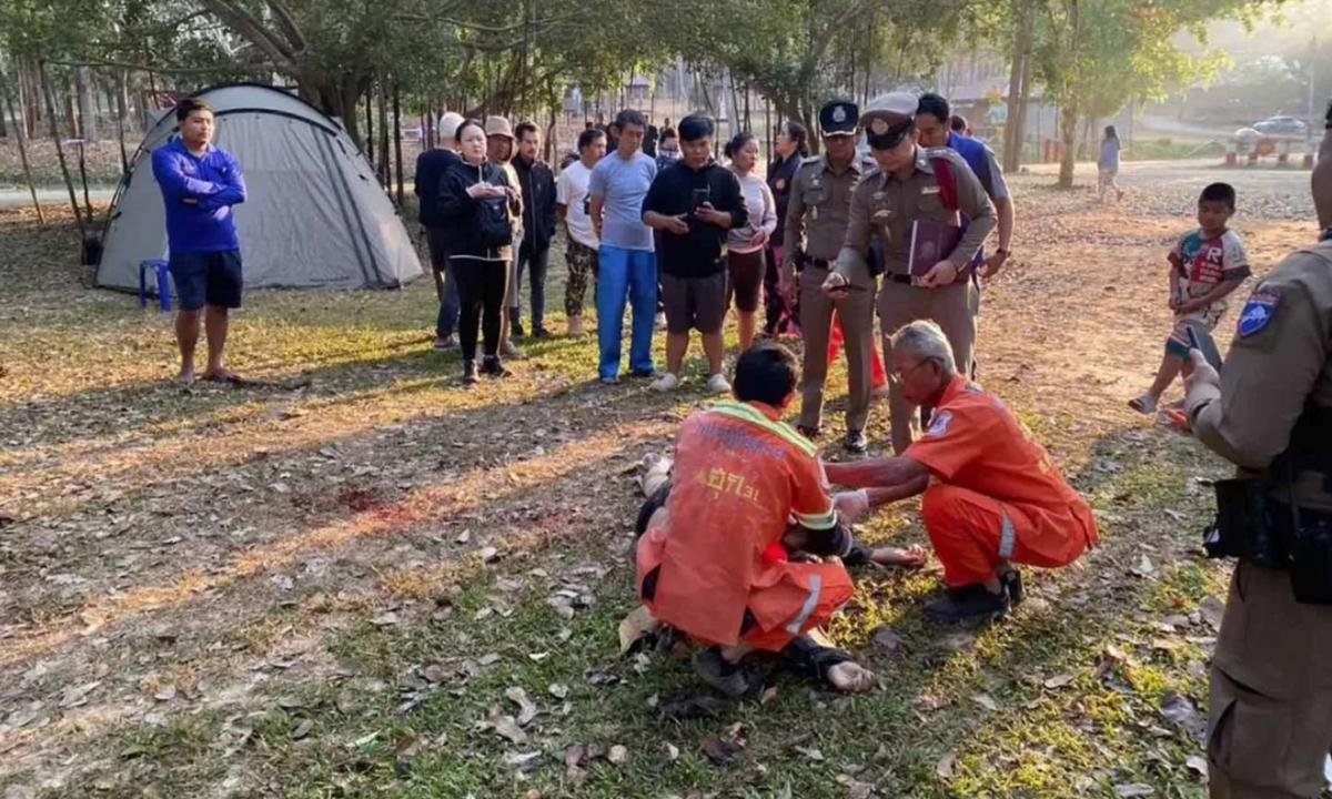 Elefante pisoteia e mata três pessoas em parque na Tailândia