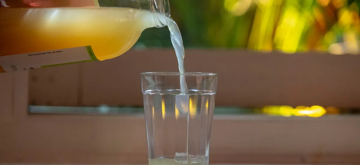 Qual suco de maçã vale mais a pena? Especialistas colocaram marcas à prova e elegeram campeã