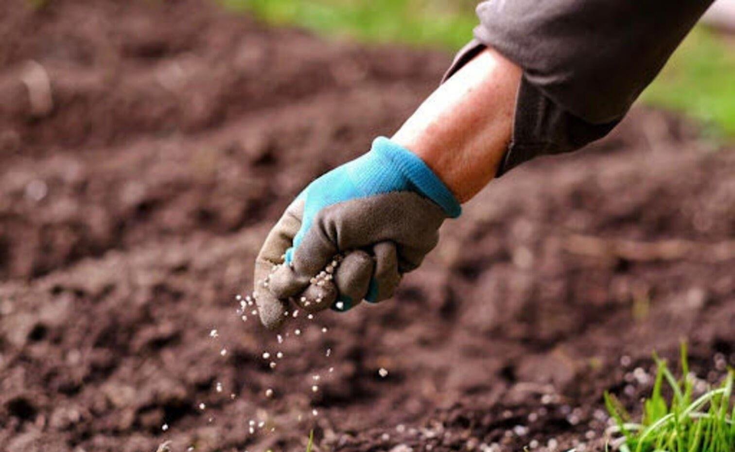 Conflito no Oriente Médio ameaça 41% das exportações globais de ureia