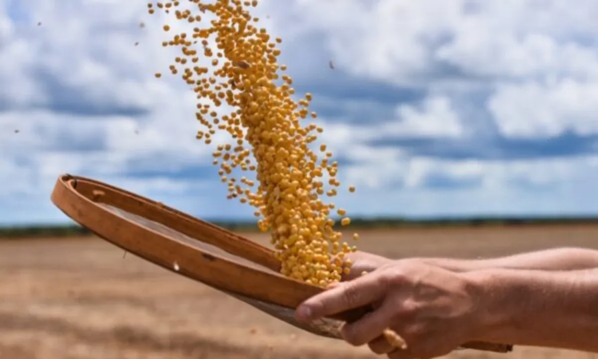 Deputados de Goiás aprovam o fim da "Taxa do Agro"