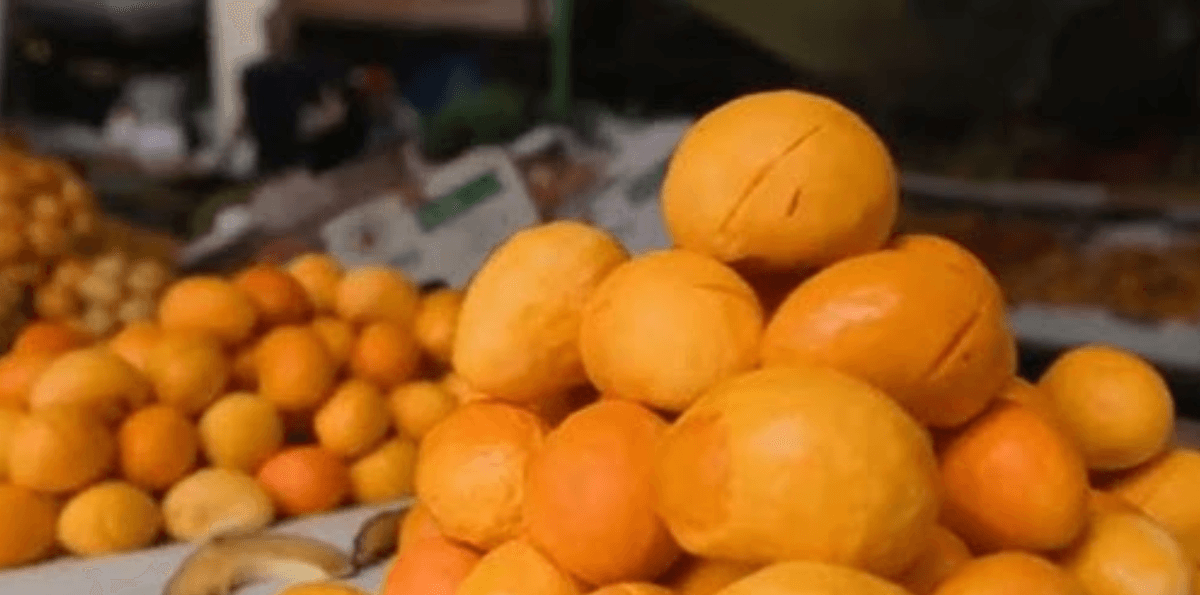 Óleo de pequi hidrata a pele e ganha nova forma de uso em cosméticos
