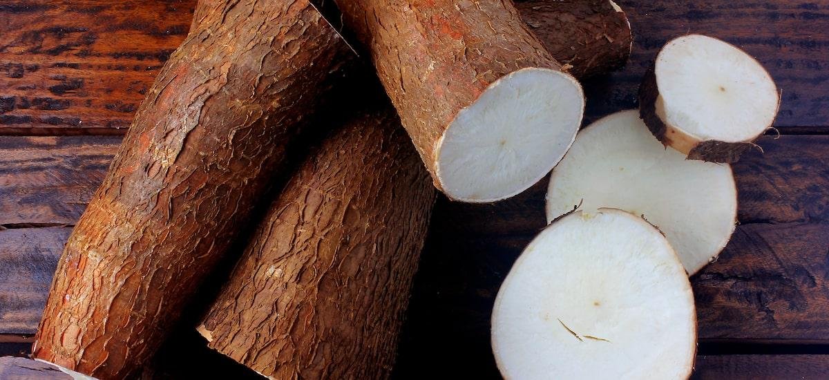 5 benefícios da mandioca e receitas para incluir na alimentação