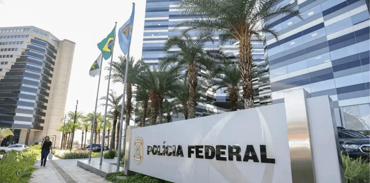 PF encontra mais de 63 mil pés de maconha em terra indígena no Pará