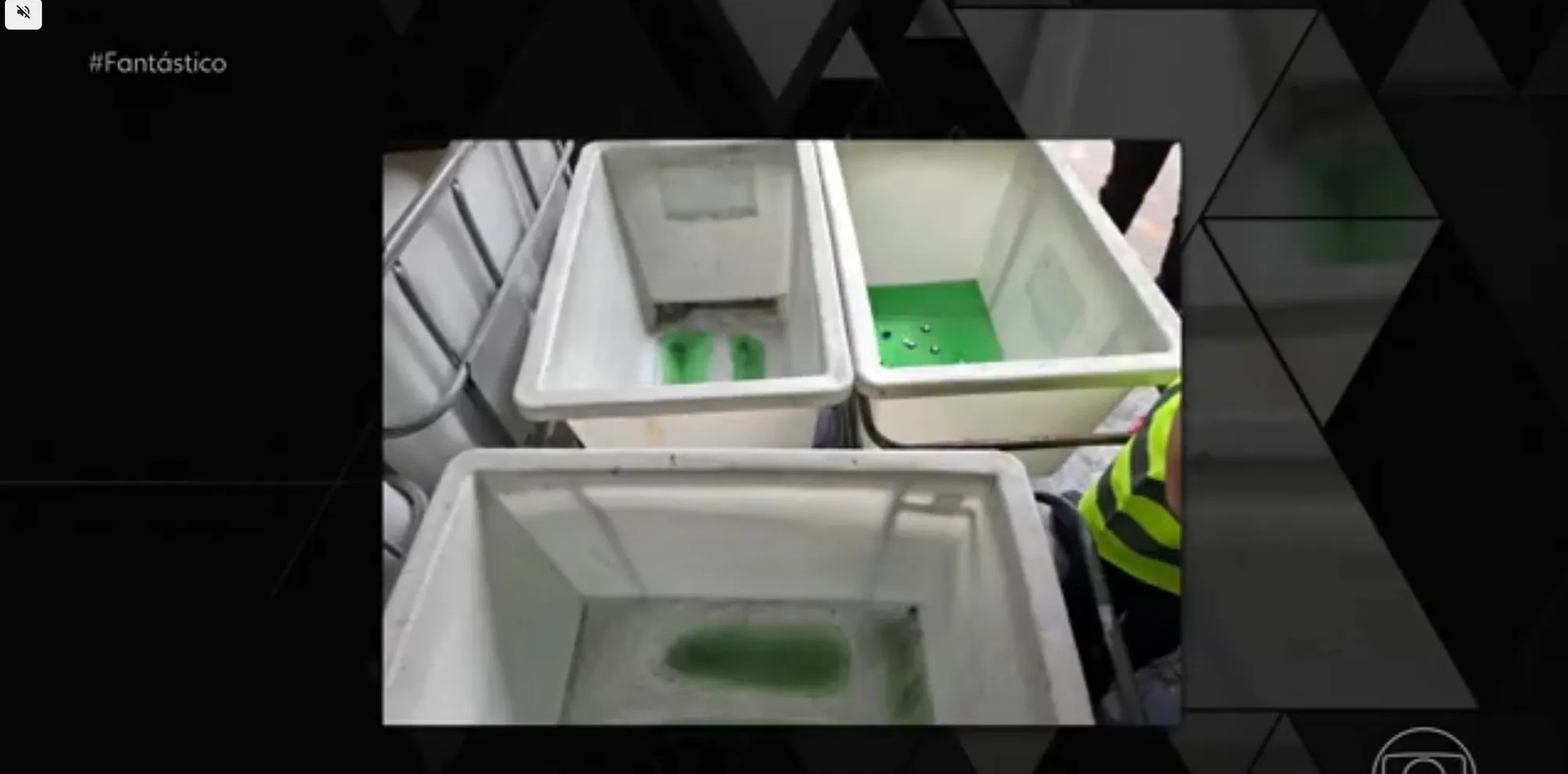 Imagens mostram inspeção sanitária realizada na fábrica da Ypê