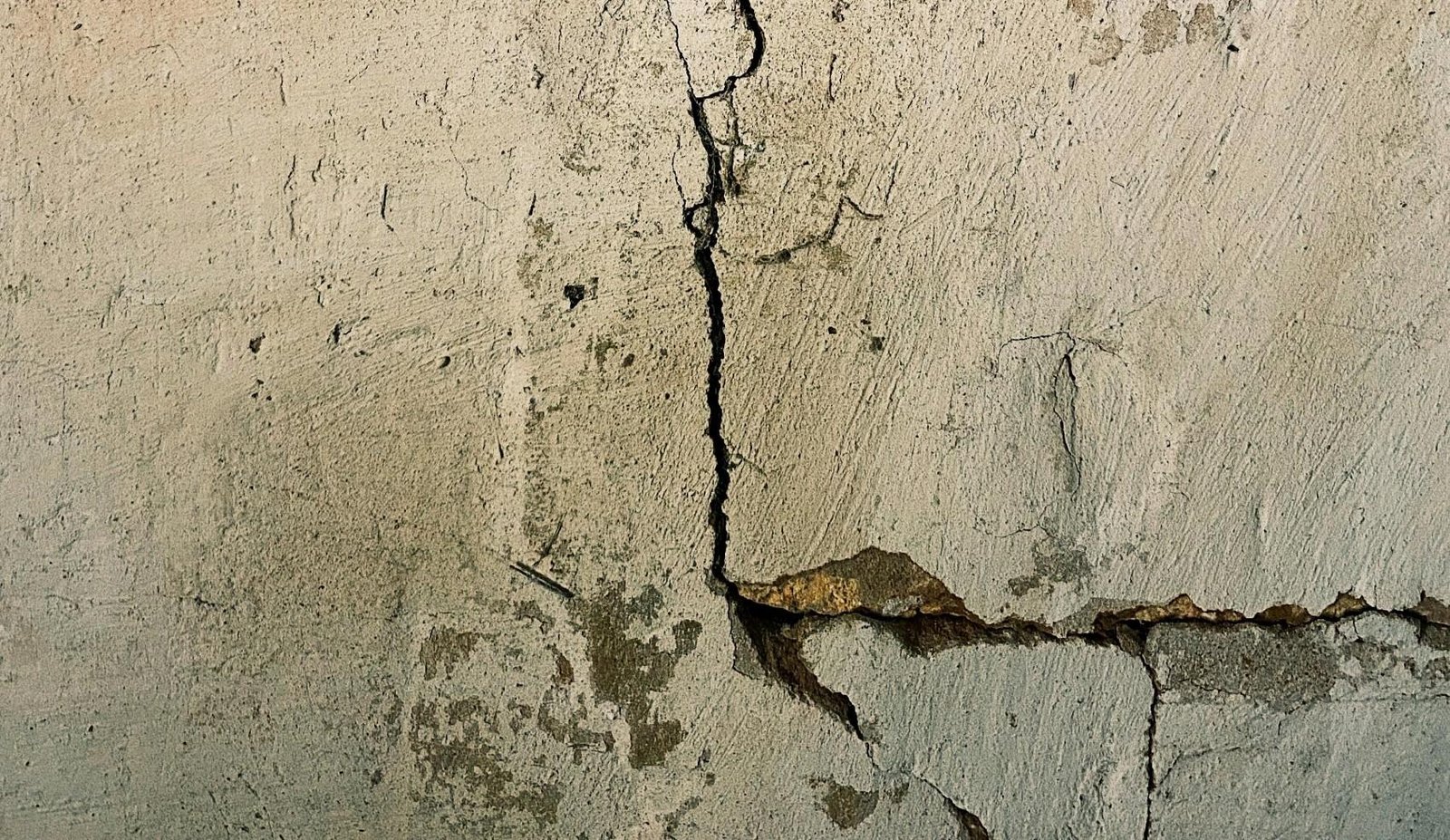 Prefeitura de Alfenas e vizinho terão que indenizar mulher por danos | G1