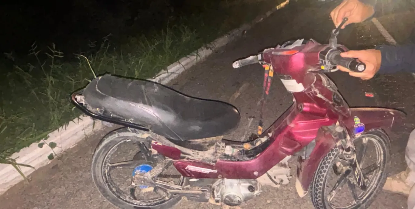 Avó e neto morrem em acidente de trânsito em Belo Jardim | G1