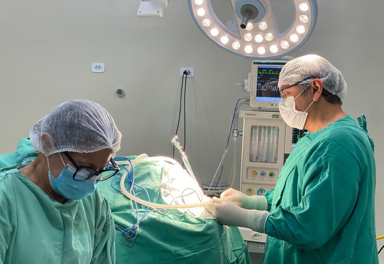 Serviço de neurocirurgia em Parnaíba completa 4 anos com 12 mil atendimentos | G1
