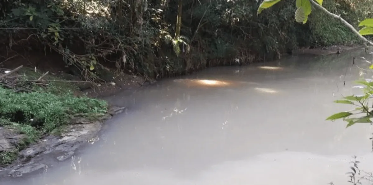 Aparecimento de trutas mortas acende alerta ambiental em Campos do Jordão