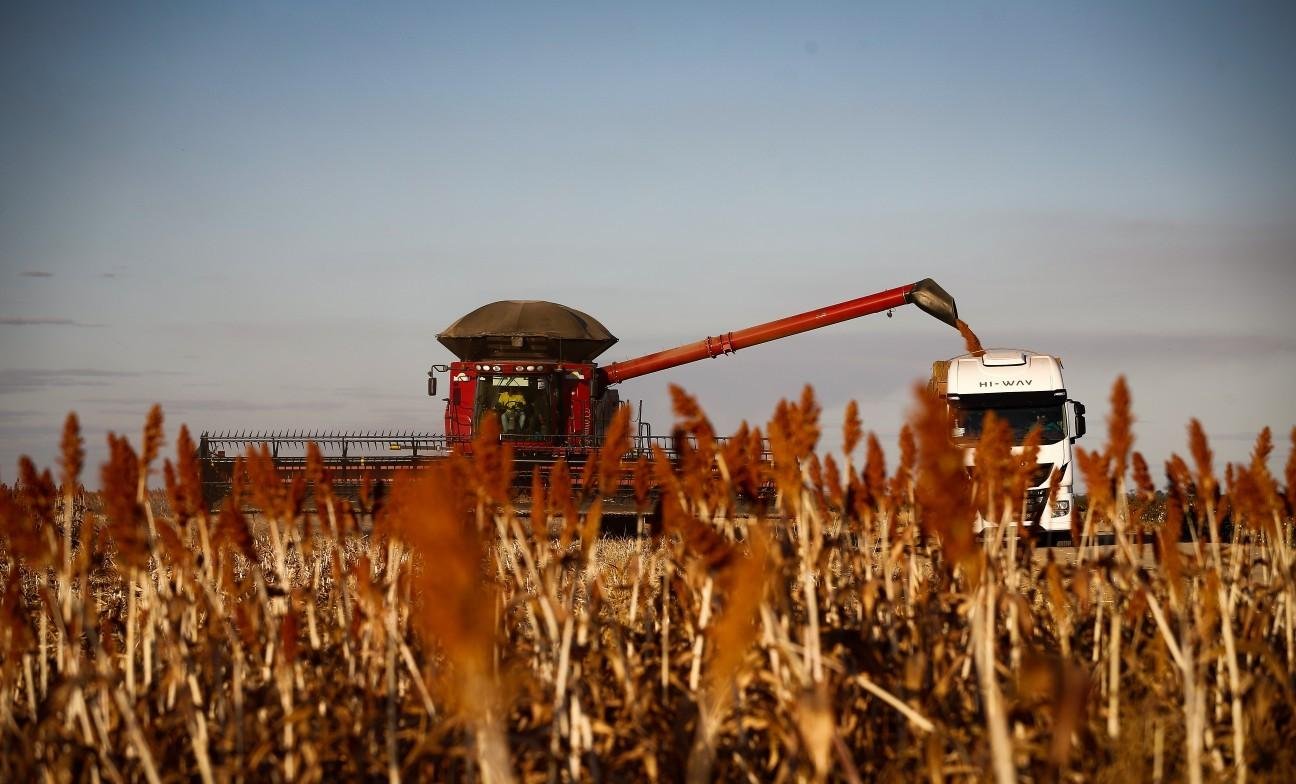 Agro e exportações devem puxar PIB de 2025, mesmo em ano marcado pelo tarifaço