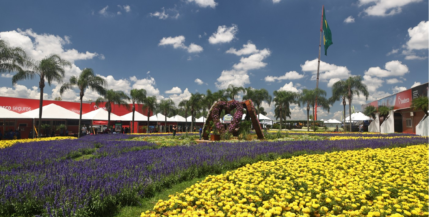 320 mil mudas de flores dão cor e beleza ao parque do Show Rural | G1
