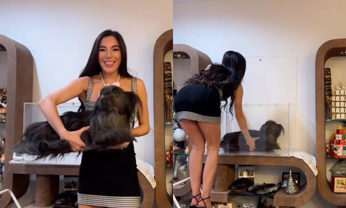 Influencer causa polêmica após expor corpo da cadela morta em caixa