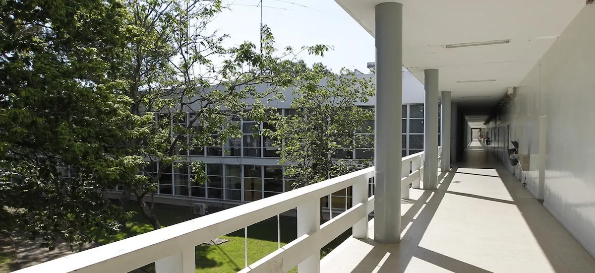 Alunos do ITA criam jogo que simula ilha de Epstein com adolescente que precisa fugir de 6 homens