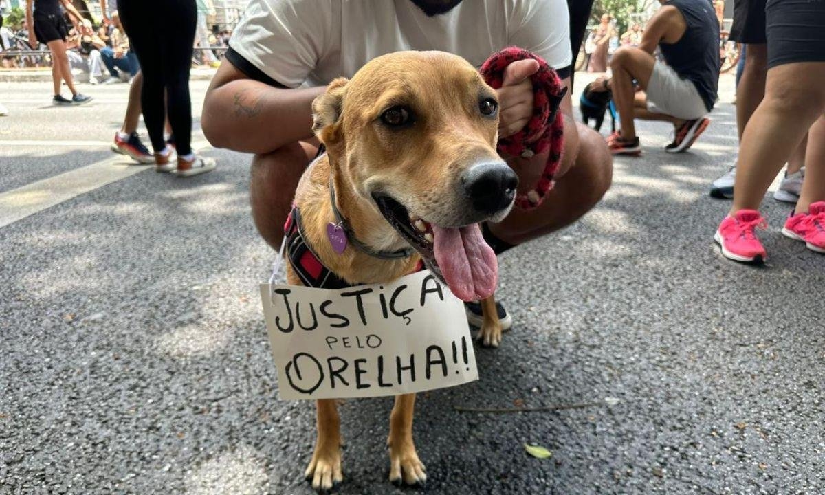 Cão Orelha: ato em SP reuniu “cachorros manifestantes”. Veja fotos
