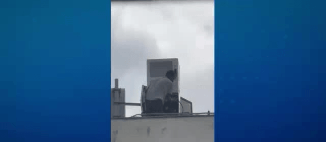 Moradores do Água Verde cobram mais segurança após furtos durante o dia