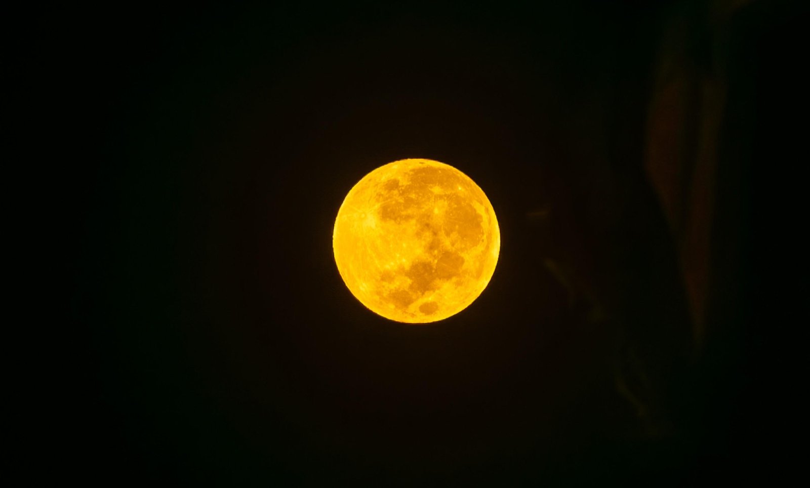 Eclipse lunar total pinta o céu de vermelho nesta terça; veja imagens da 'Lua de sangue' | G1