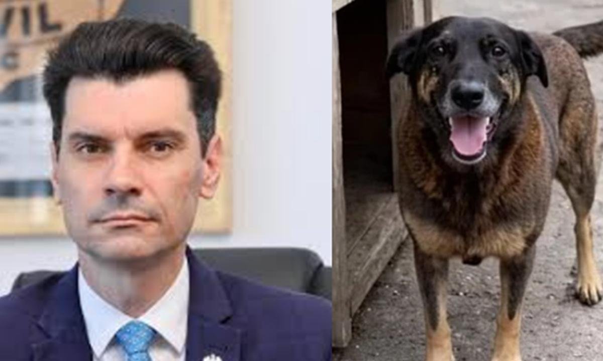 Caso cão Orelha: delegado de SC rebate críticas e ataca esquerda