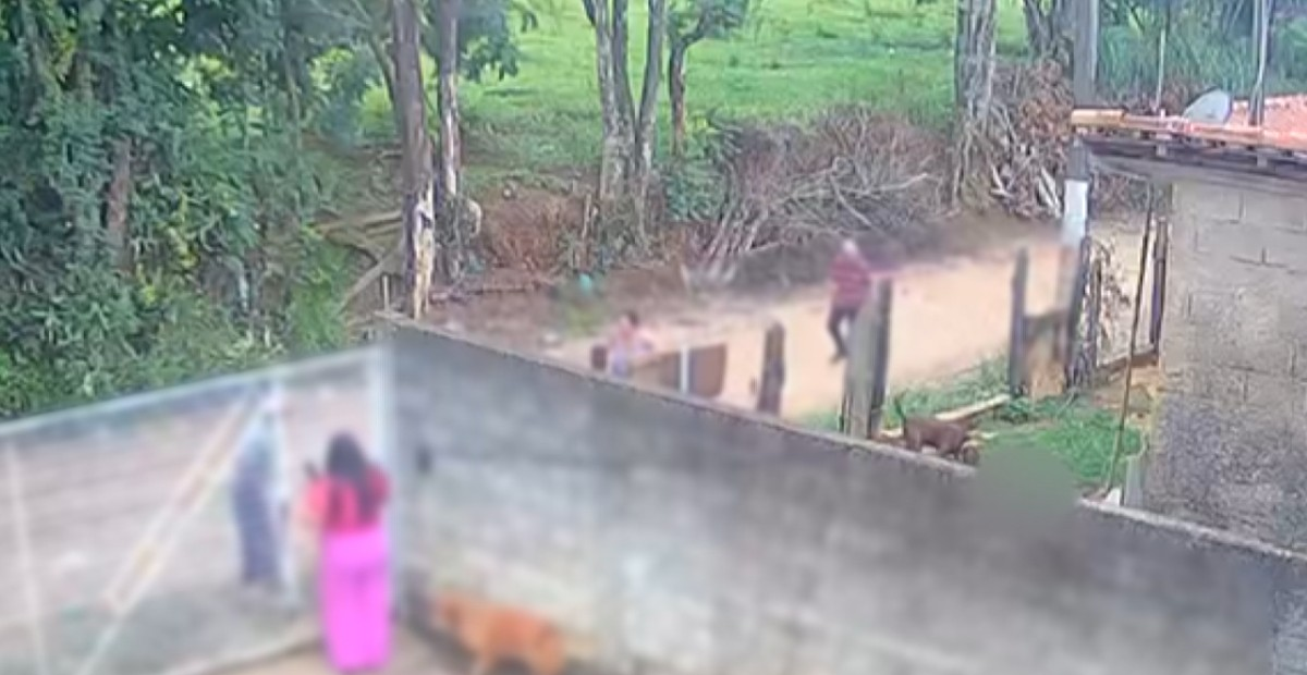 Bebê de 11 meses morre após ataque de pitbull no interior de SP; Polícia Civil vai apurar possível negligência e omissão | G1