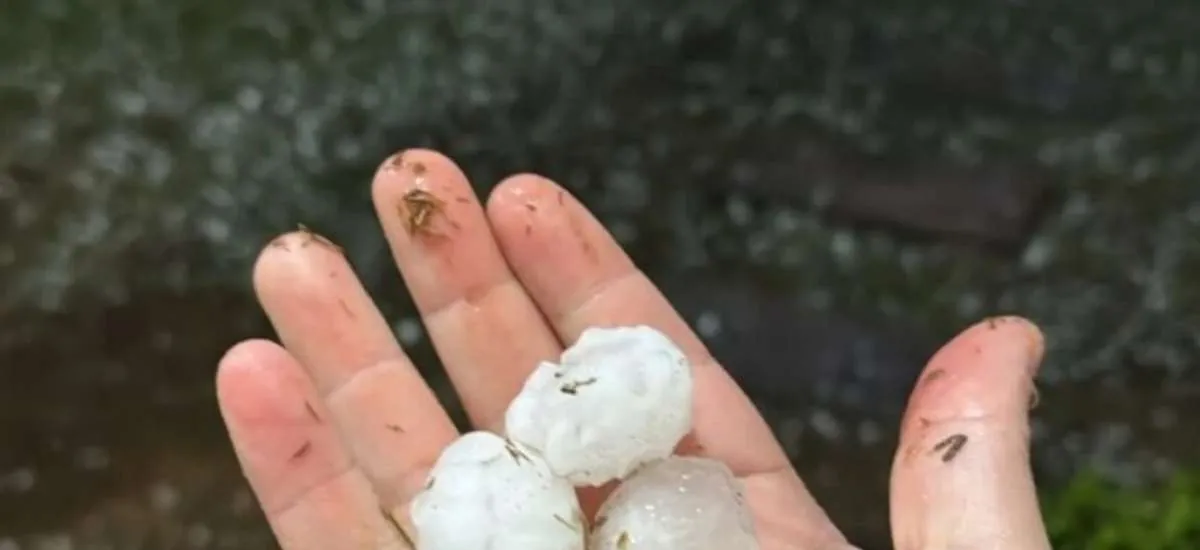 Temporal de granizo causa estragos em mais de 120 residências em Gramado e Canela