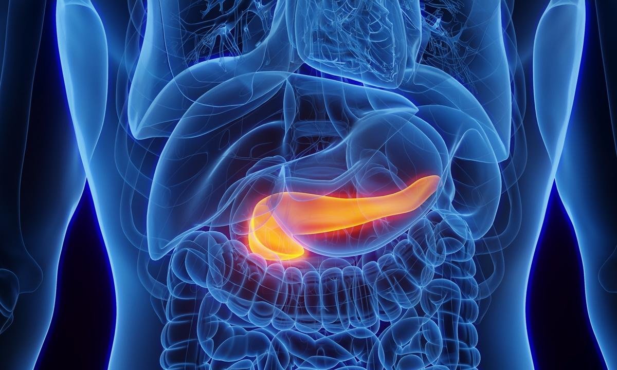 Gastroenterologista lista quais são os sintomas de pâncreas inflamado