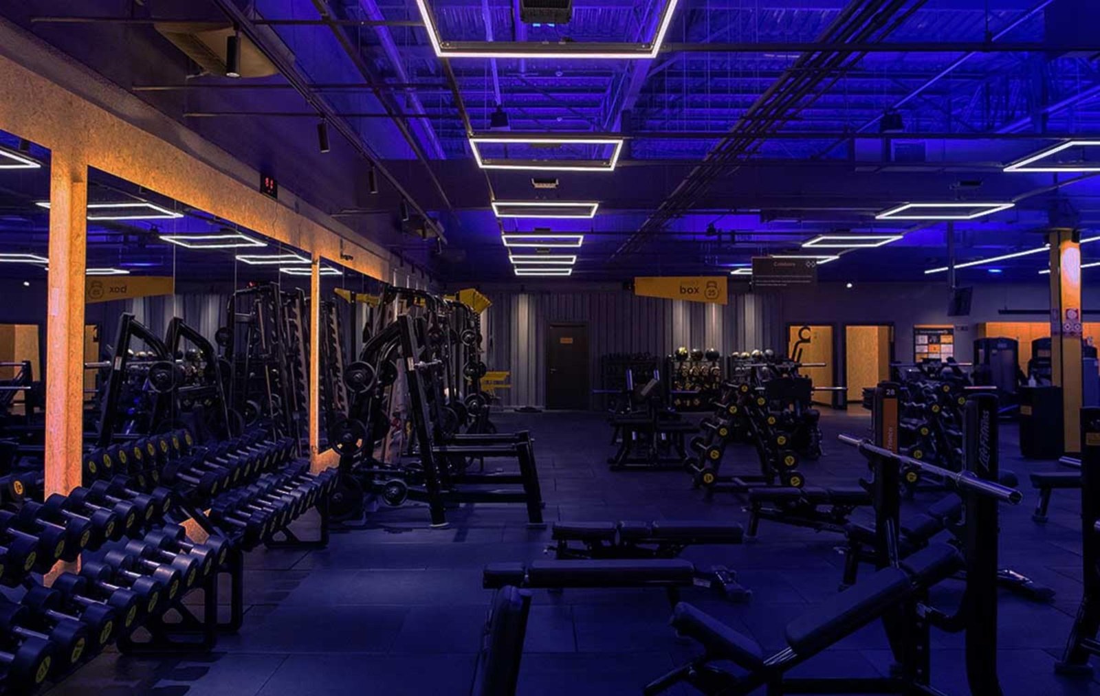 Patria e SmartFit: operação moldou o mercado fitness na América Latina