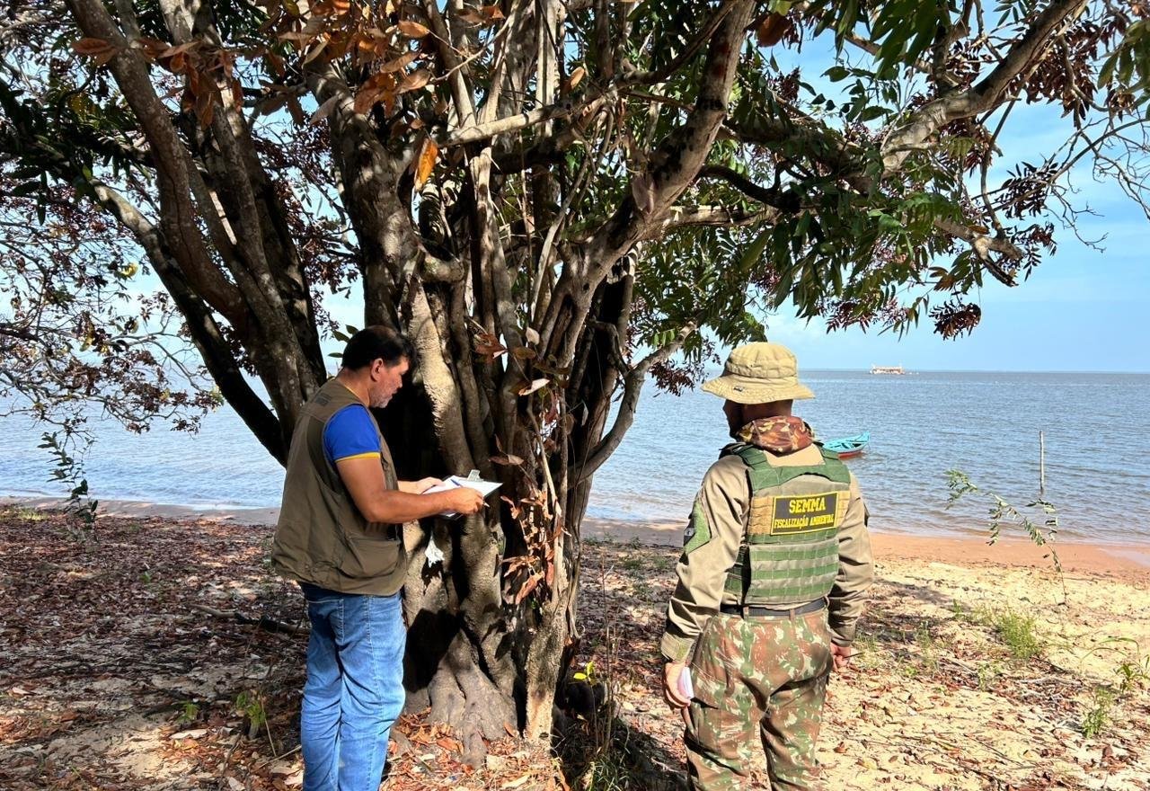 Semma investiga suspeita de envenenamento de árvores na praia do Jacundá em Alter do Chão | G1