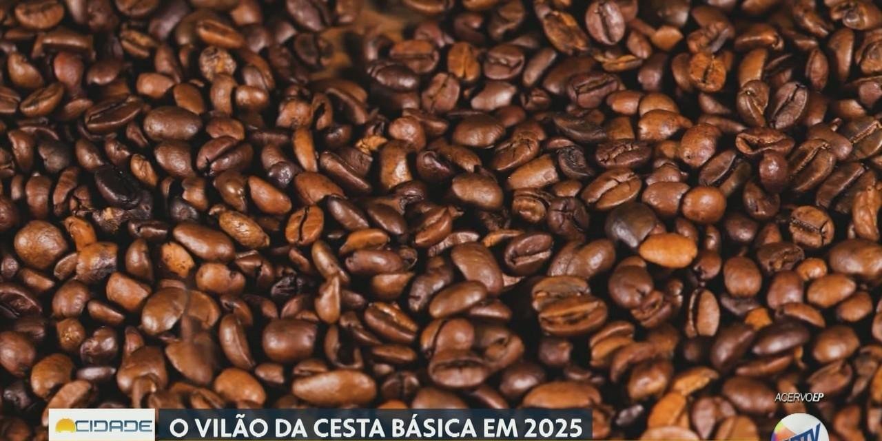 Café: Análise da USP sobre o mercado interno em 2026 | G1