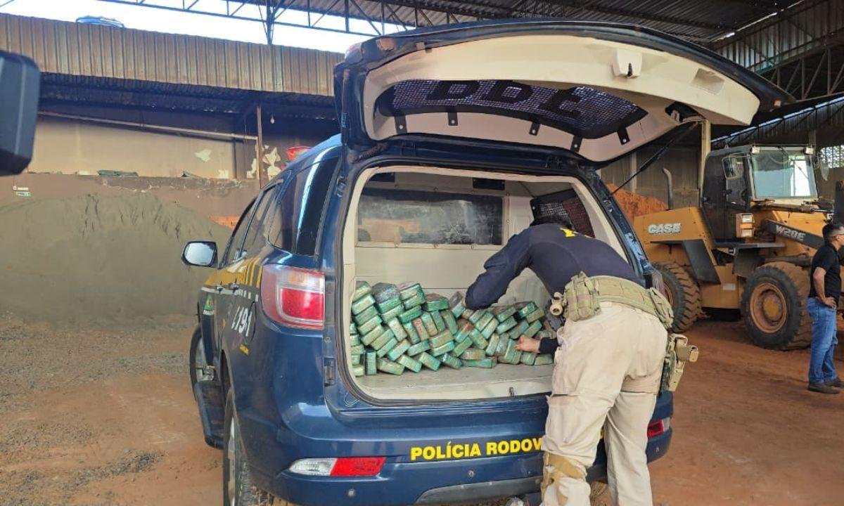 Cães descobrem 120 kg de cocaína escondido em carga de minério | G1